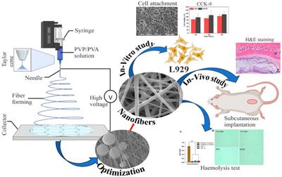 Biomimetic electrospun nanofibrous scaffold for tissue engineering: preparation, optimization by design of experiments (DOE), in-vitro and in-vivo characterization